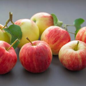Vibrant red and yellow apples showcasing freshness and harvest's bounty.