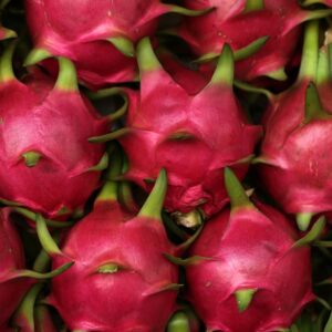 Fresh dragon fruits in a close-up still life emphasizing texture and color.
